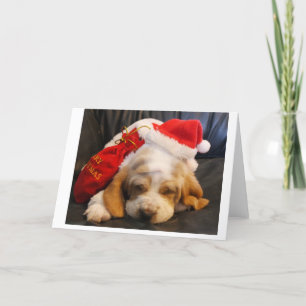 Festividades filhote de basset hound de cartão de natal