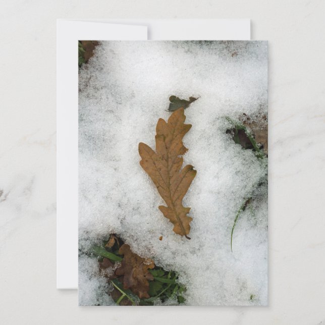 Festividades Folha de carvalho que se encontra no cartão de fér (Frente)