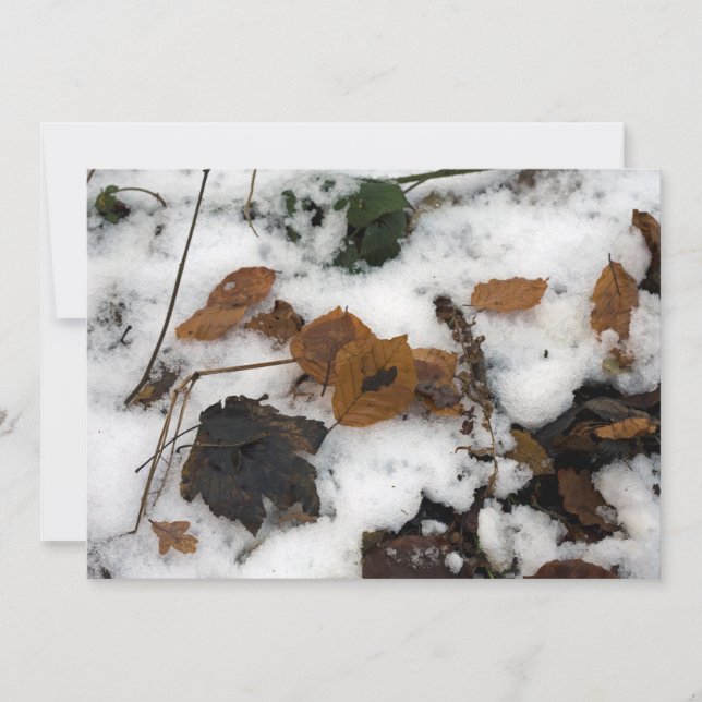 Festividades Folhas deitadas no cartão de férias de neve (Frente)