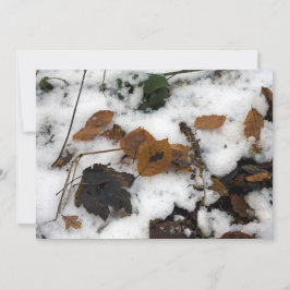 Festividades Folhas deitadas no cartão de férias de neve