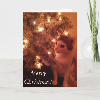 Festividades Gatinho do cartão de saudação da árvore de Natal