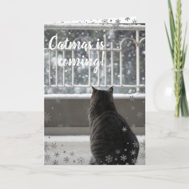Festividades Gato Bonito de Natal no Cartão de Férias de Neve (Frente)