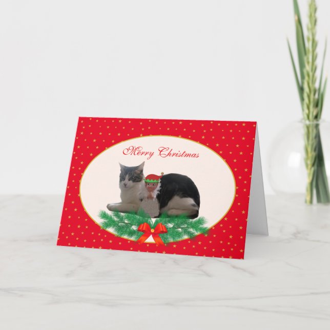 Festividades Gato de Natal bonito e elfo anjo em cartão vermelh (Frente)