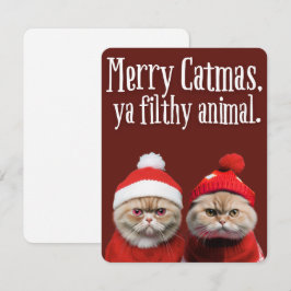Festividades Gatos engraçados de Papai Noel cartão de Boas Fest