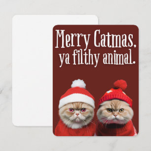 Festividades Gatos engraçados de Papai Noel cartão de Boas Fest