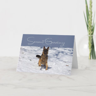 Festividades German shepherd de saudações de Seasons no Cartão