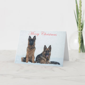 Festividades German shepherd no cartão de natal da neve.