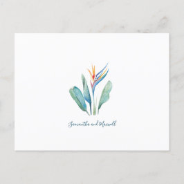 Festividades Guardar O Cartão Postal De Cores Aquáticas Tropica