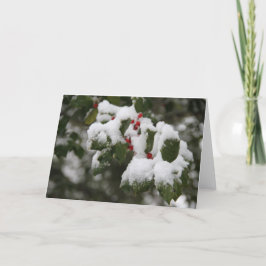 Festividades Holly in Fresca Snow, Cartão de Vazio, Use para No