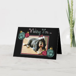 Festividades Hound de Natal em Cartão Cute com Caneta Docente