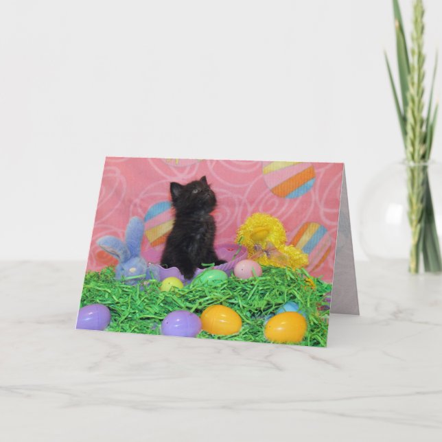 Festividades Iz Da Páscoa Bunny Aqui Ainda Cartão De Saudação (Frente)