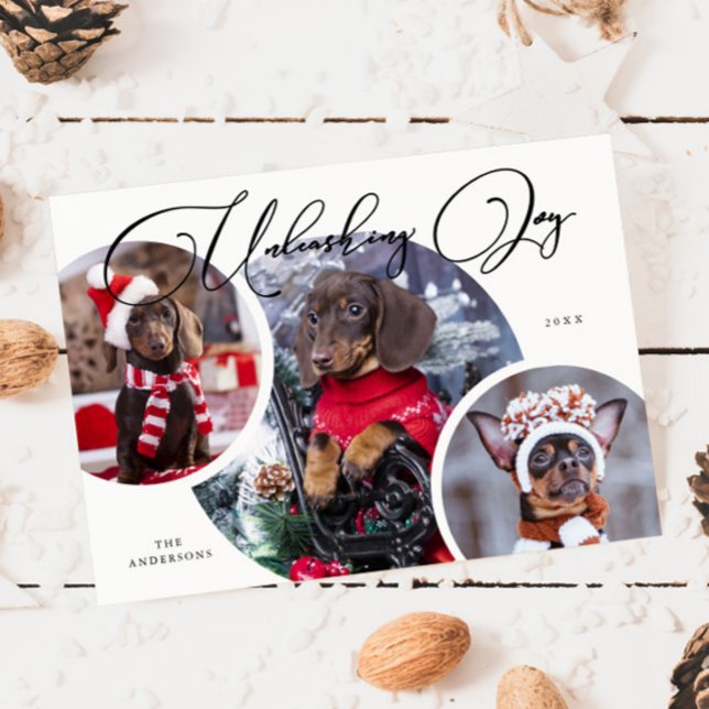 Festividades Liberando o Cartão de Férias do Cão Branco da Joy (Criador carregado)