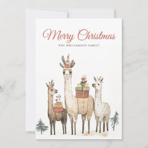 Festividades Llama Ama o Cartão de Férias de Natal
