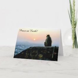 Festividades Macaco do cartão de Natal do pôr do sol da paz na 