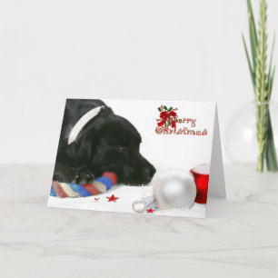 Festividades Madison, o cartão de Natal Black Labrador