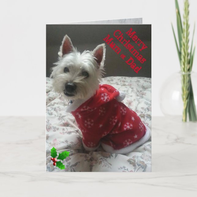 Festividades Mãe & pai alegres do cartão de Natal de Westie (Frente)