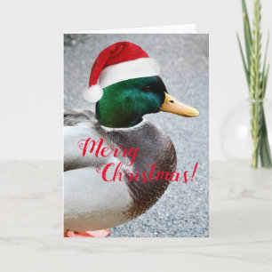Festividades Mallard Duck Vestindo Cartão de Férias Red Santa