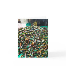 Mexilhões Verdes Lábados Para Venda De Cartão De F