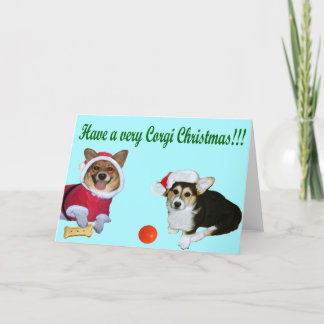 Festividades Muito Natal M do Corgi & cartão de turquesa de G