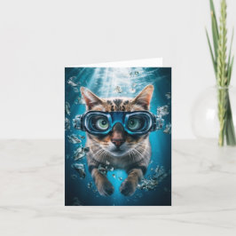 Festividades Nadação De Gatos Com Cartão De Vazio