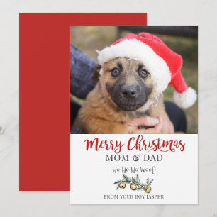Festividades Natal Do Cartão De Férias De Cão