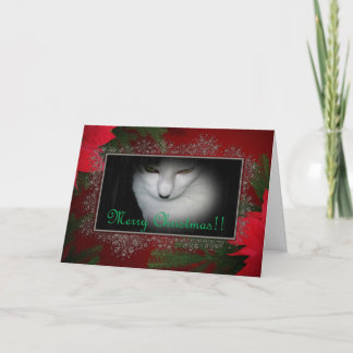 Festividades O gatinho Amadurece O Cartão De Natal!