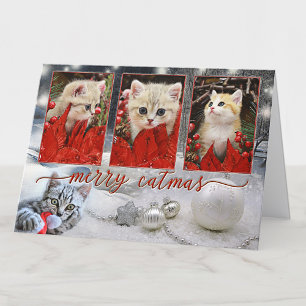 Festividades O seu cartão de ano novo de Natal para gatos