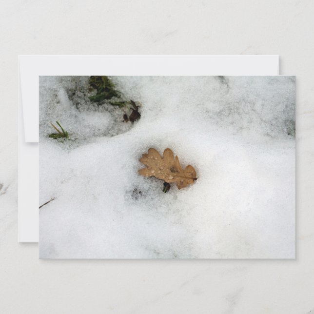 Festividades Oak Leaf deitado no Cartão de Férias de Neve (Frente)