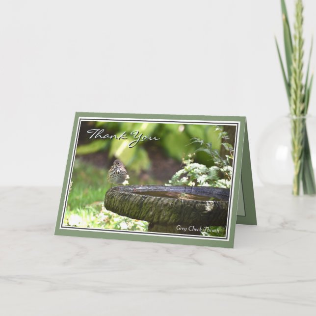 Festividades Obrigado pelo maravilhoso cartão de boas-vindas (Frente)