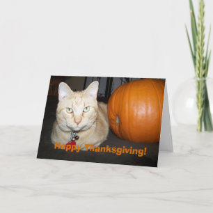 Festividades Orange Cat com Pumpkin Feliz Cartão de Ação de Gra