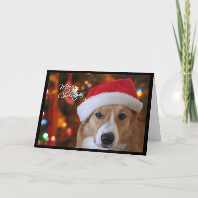 Festividades Papais noeis Pembroke Welsh Corgi Cartão de Natal (Frente)