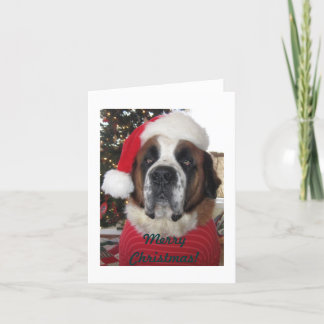 Festividades Papais noeis Ruas. Cartão de Natal Bernard Dog