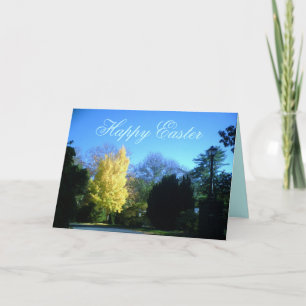 Festividades PÁSCOA, cartão de amor de Deus