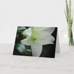 Festividades Páscoa Lily ・ Cartão de Saudação