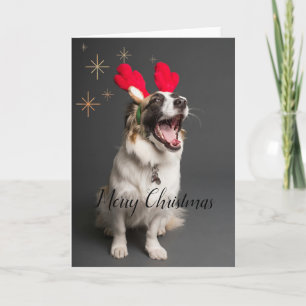 Festividades Patas & Alegria: Adorável Cartão de "Feliz Natal" 