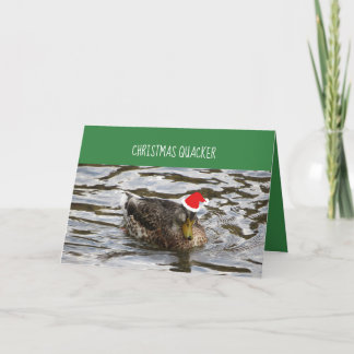 Festividades Patos Quacker De Natal Num Cartão De Fila