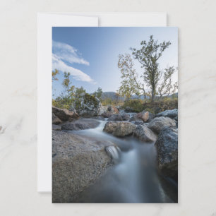Festividades Pequeno cartão com fotos Natureza de Fluxo