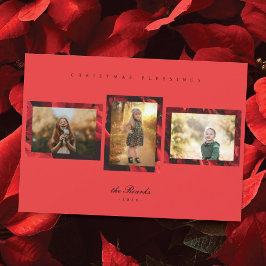 Festividades Poinsettia Petals Frame 3 Cartão de Natal Fotográf