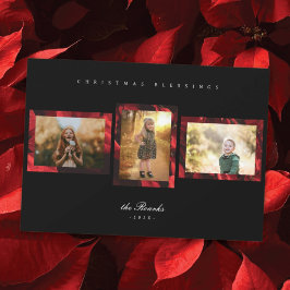 Festividades Poinsettia Petals Frame 3 Cartão de Natal Fotográf