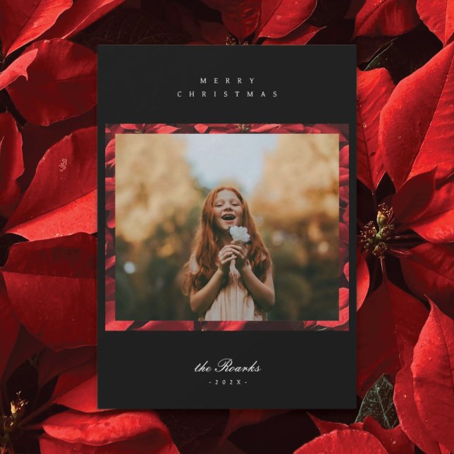 Festividades Poinsettia Petals Quadro 2 Cartão de Natal Fotográ (Criador carregado)