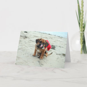 Festividades Puggle! Cartão de Férias
