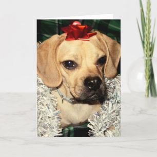 Festividades Puggle! Cartão de Natal