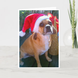 Festividades Puggle! Cartão de Natal