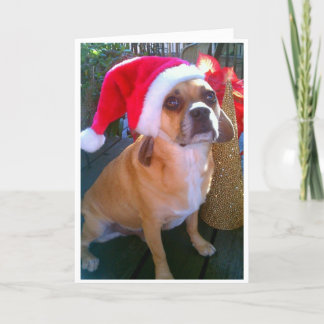 Festividades Puggle! Cartão de Natal