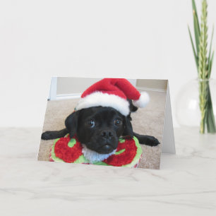 Festividades Puggle! Cartão de Natal