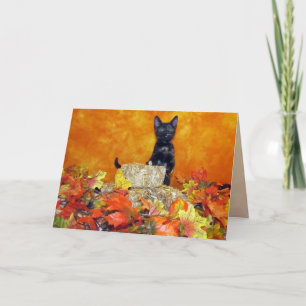 Festividades Queda de Ashlynn / Cartão de Ação de Graças - Gati