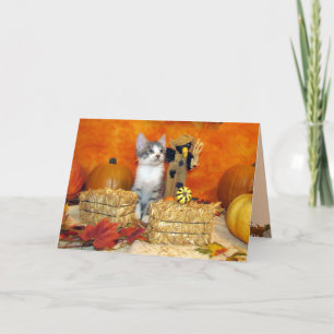Festividades Queda de porco / Ação de graças - Cartão de gato b