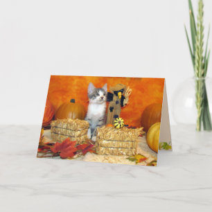 Festividades Queda de porco / Ação de graças - Cartão de gato b