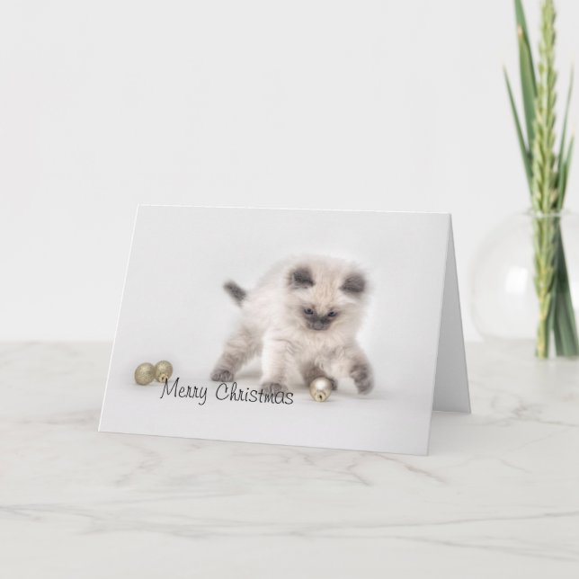 Festividades Ragdoll kitten Cartão de Natal (Frente)