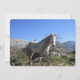 Festividades Retrato de um cartão de férias de cavalo plano